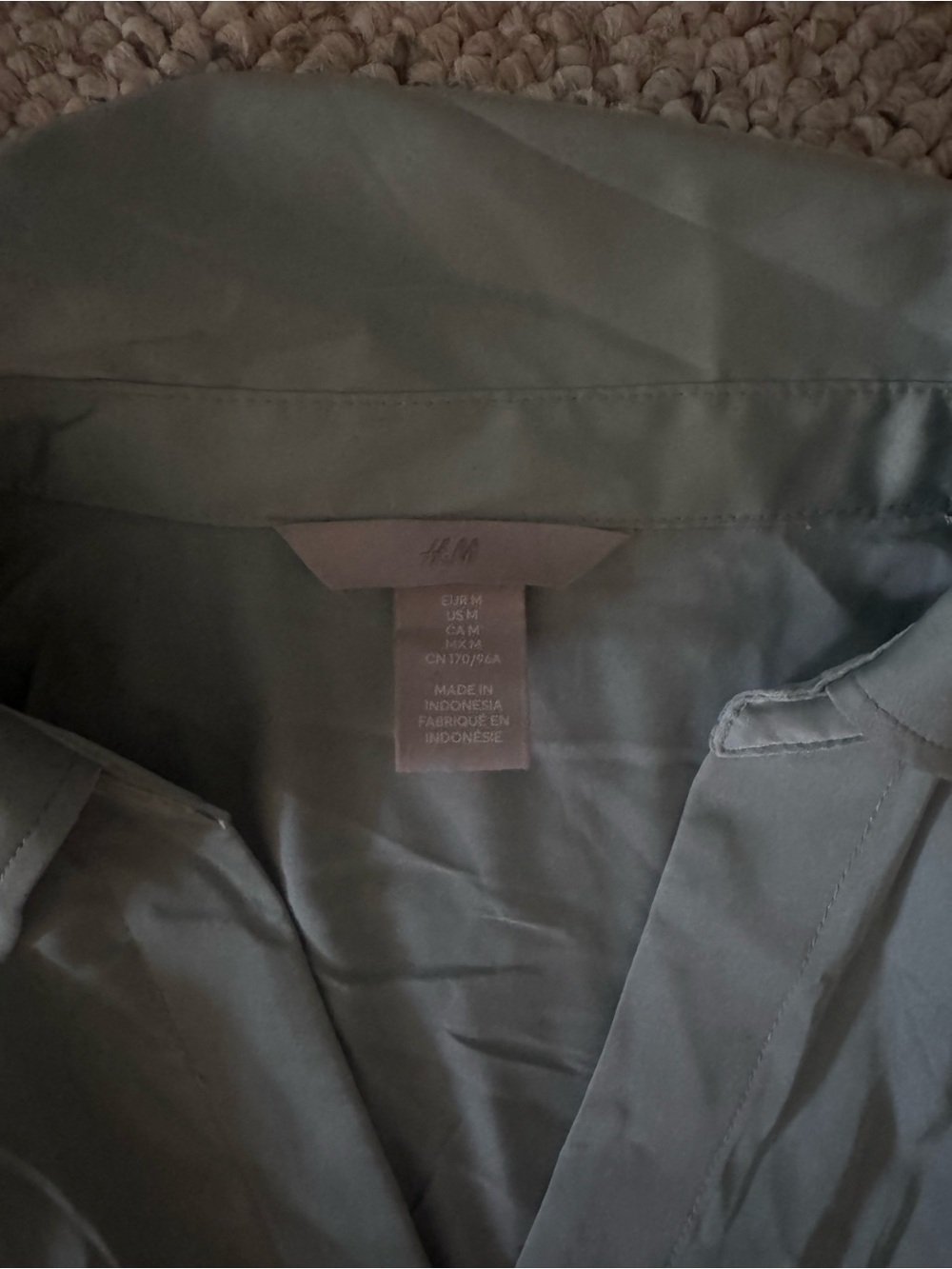 H&M Sage Green Collared Button Shirt